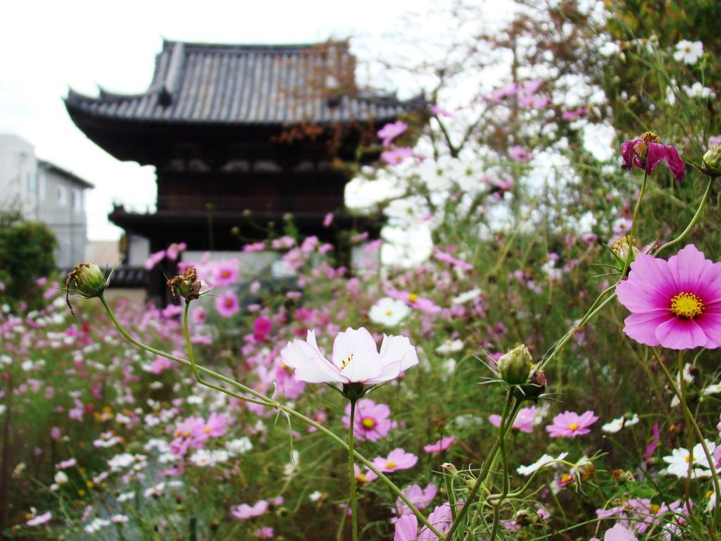 Yamabe Hotel Tenri Buitenkant foto