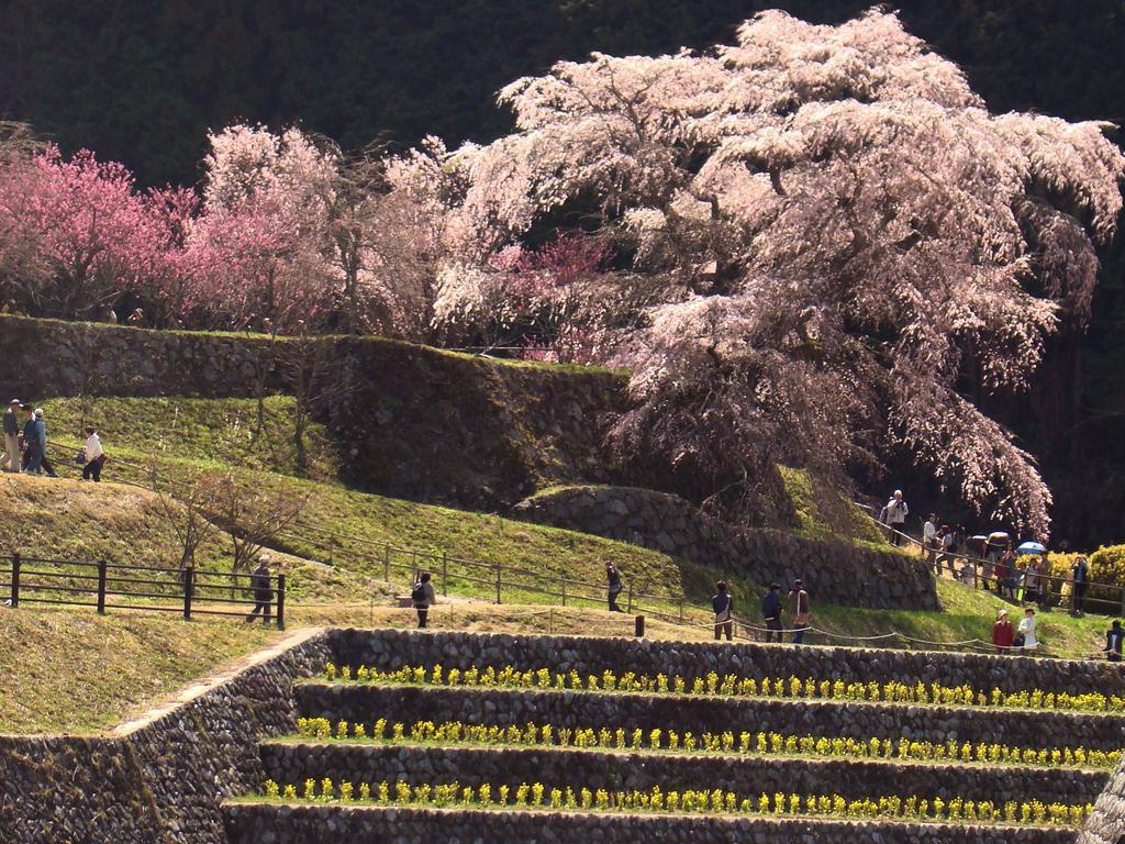 Yamabe Hotel Tenri Buitenkant foto